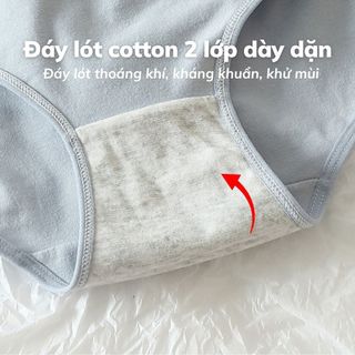 Quần lót nữ cotton kháng khuẩn cạp vừa tôn dáng co giãn linh hoạt đáy lót 2 lớp khử mùi DEVARI L2020