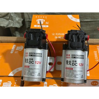 Bơm nước tưới lốp 1 đầu dành cho ô tô, xe tải điện 12v 24v.D