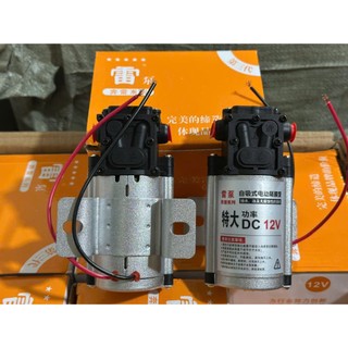 Bơm nước tưới lốp 1 đầu dành cho ô tô, xe tải điện 12v 24v.D