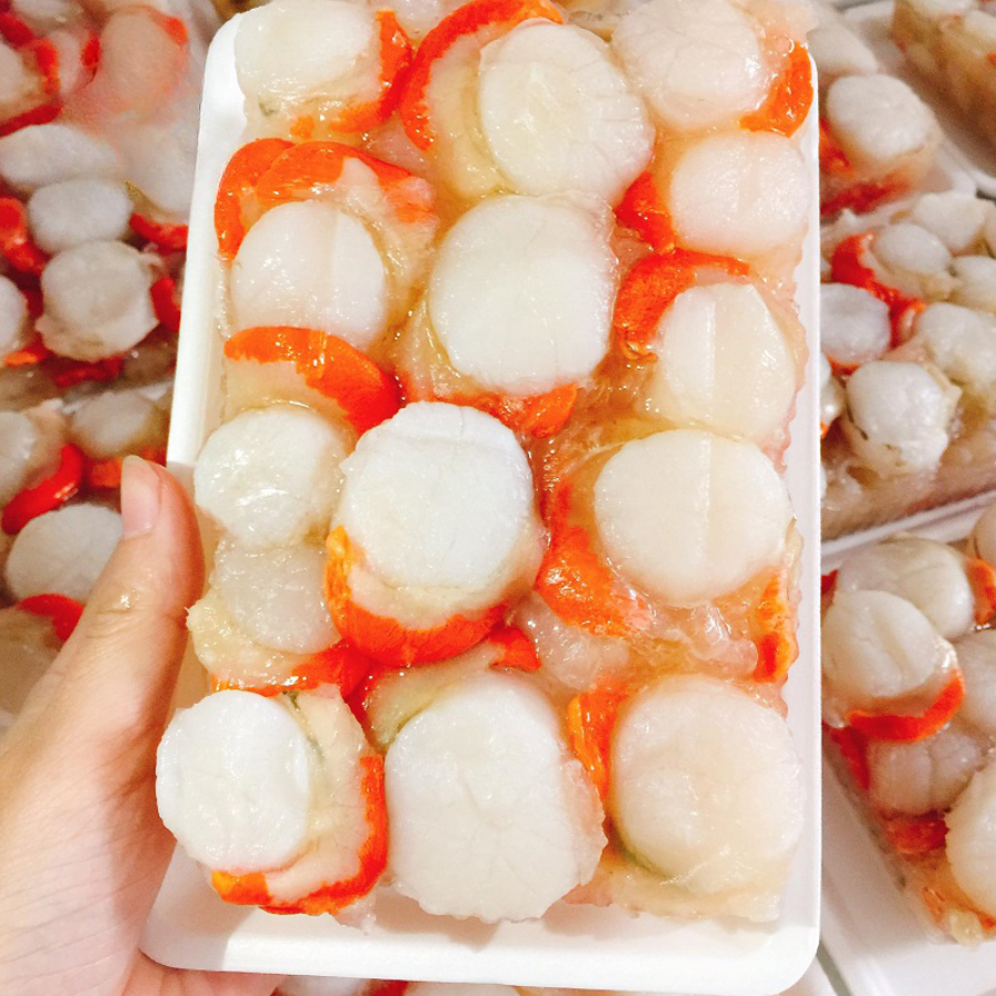 [HỎA TỐC HCM] Còi sò điệp tươi Thế Giới Hải Sản, cấp đông công nghệ IQF nên giữ được độ , sò điệp nấu canh, nướng, chiên