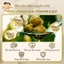 Dầu Olive Ăn Dặm CrudoLio Ép lạnh nguyên chât Cho Bé (100ml)
