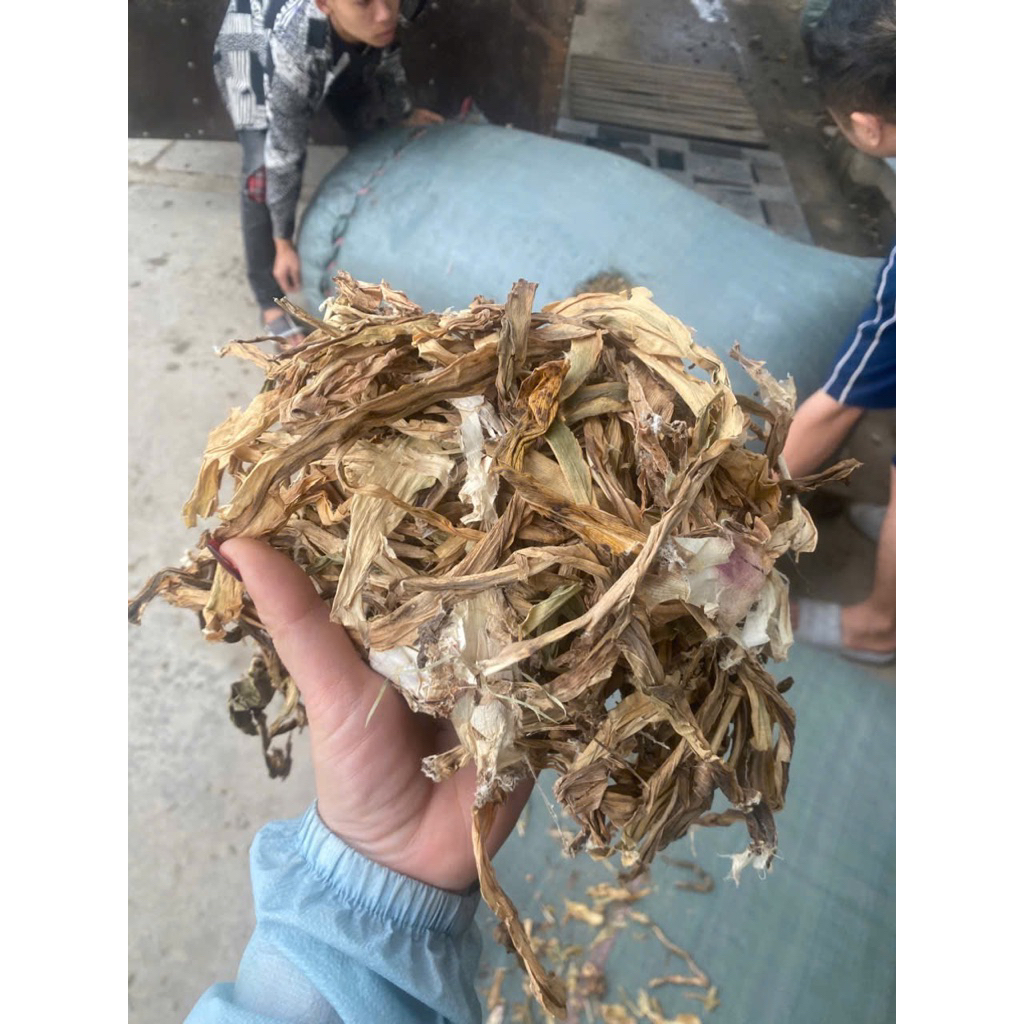 Trinh Nữ Hoàng Cung, Hỗ Trợ Giảm U Nang, U Xơ, Kinh Nguyệt Không Đều