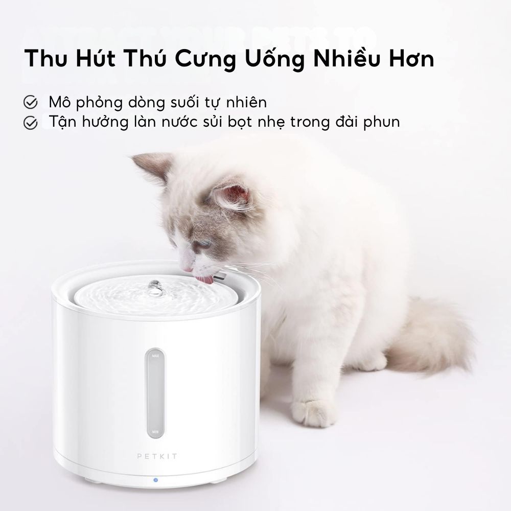 [Global Version] Máy Lọc Nước Cho Chó Mèo Bơm Không Dây PETKIT Solo 2 có điều khiển qua App