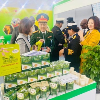 [ Combo 2 hộp] Trà xạ đen MD Queens 100% thảo dược thiên nhiên giúp ổn định huyết áp, hạ mỡ máu, men gan, thanh lọc cơ t