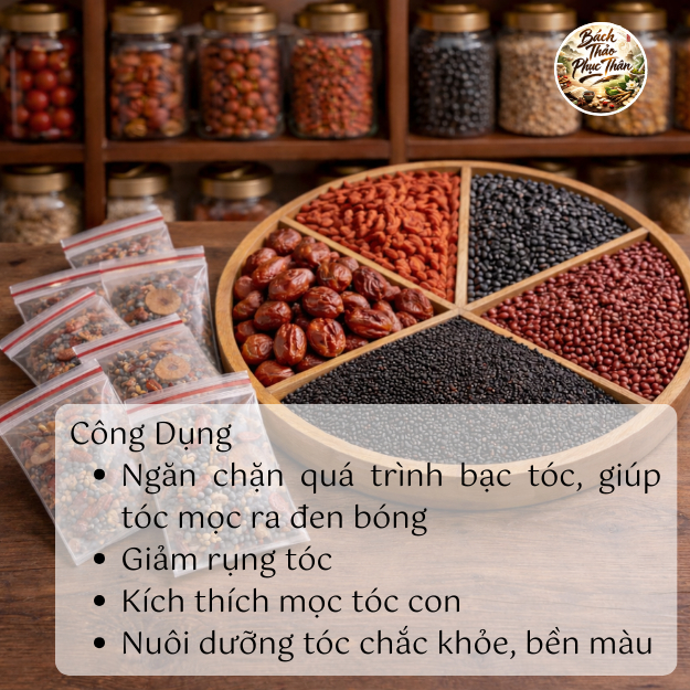 Trà Ngũ Hạt Hồi Xuân mọc tóc đen, chống tóc bạc, kích thích mọc tóc con, ngăn chặn hói