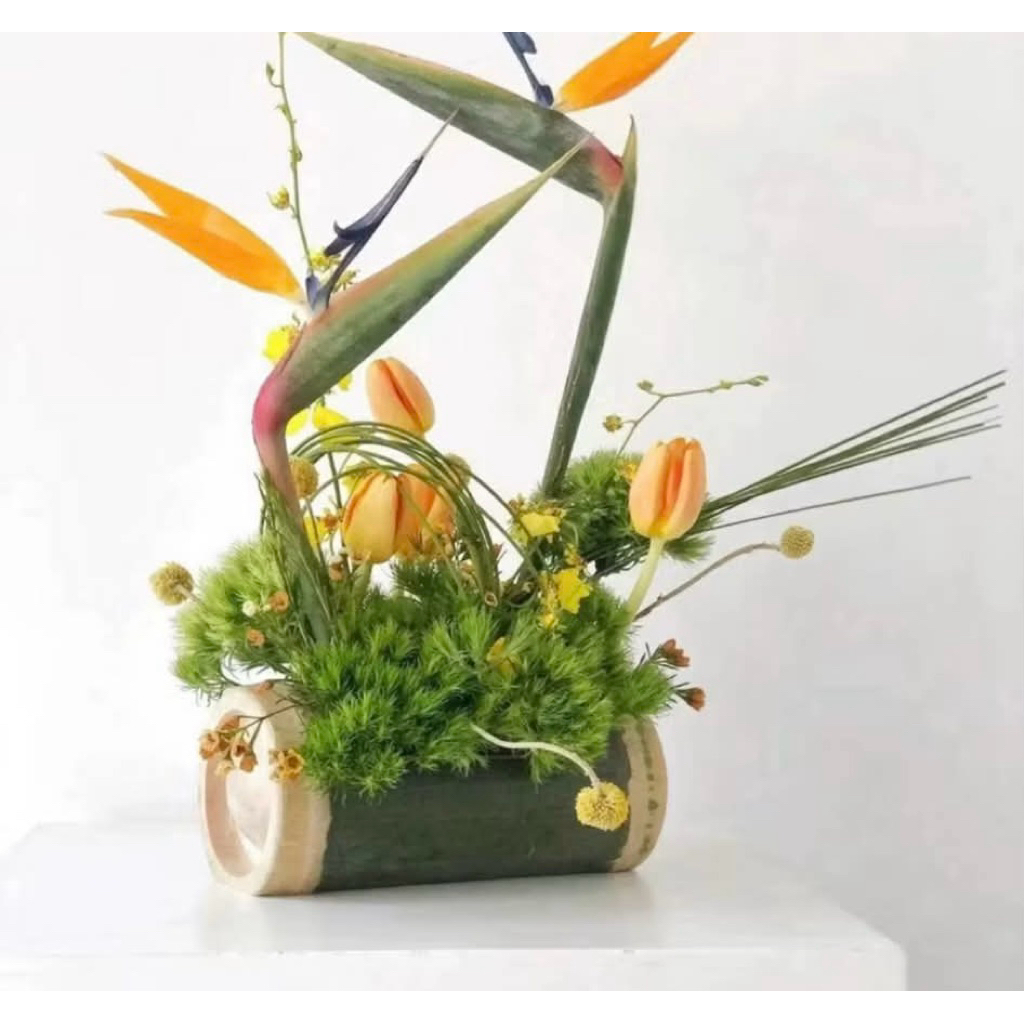 Combo 5 Ống Tre Bổ Đôi – Khay Tre Cắm Hoa Nghệ Thuật, Trang Trí Bàn – Khay Tre Trang Trí, Decor Nhà Hàng, Sự Kiện
