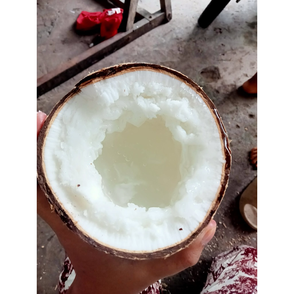 Dừa sáp Đặc loại 1 size 1kg2 đến 1kg6