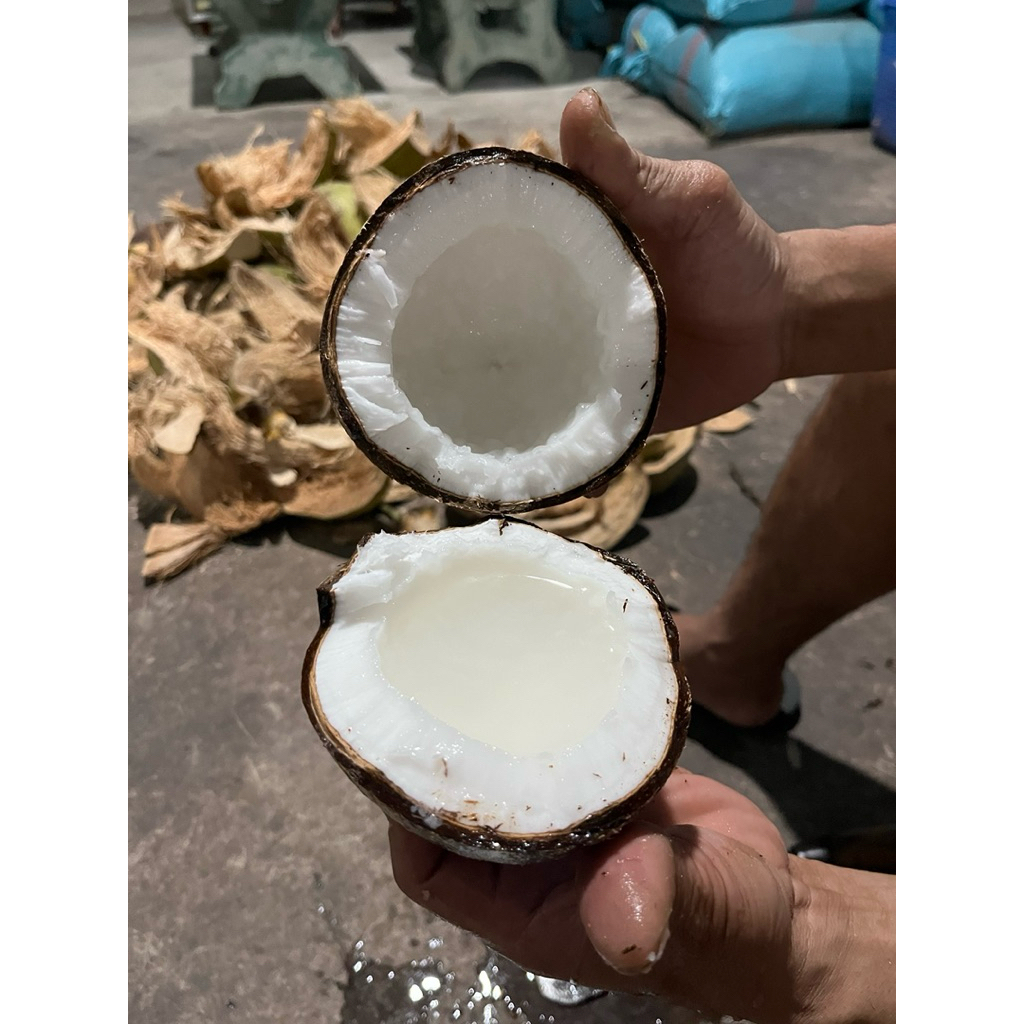 dừa sáp lỏng , nhiều nước size 1kg đến 2kg