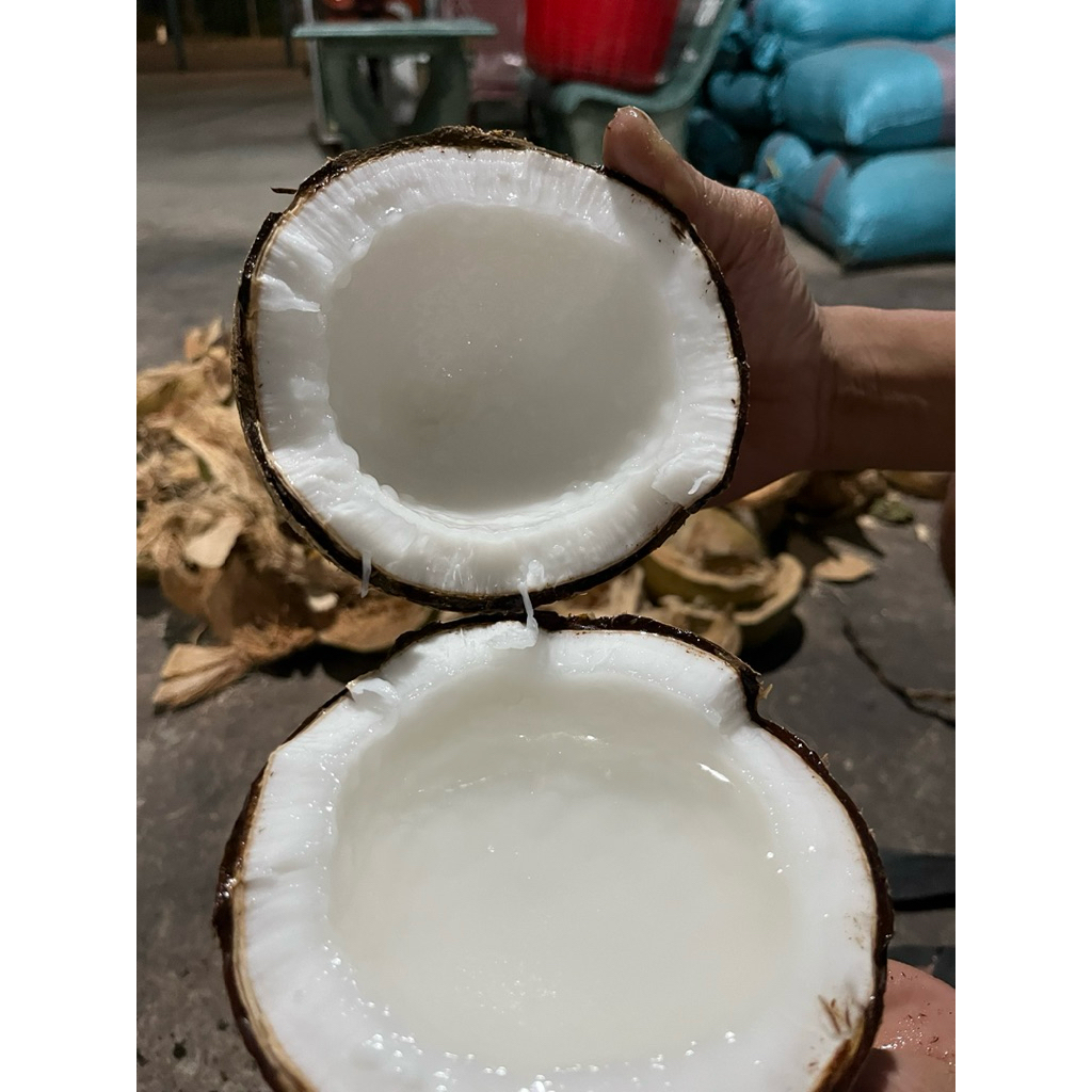 dừa sáp lỏng , nhiều nước size 1kg đến 2kg