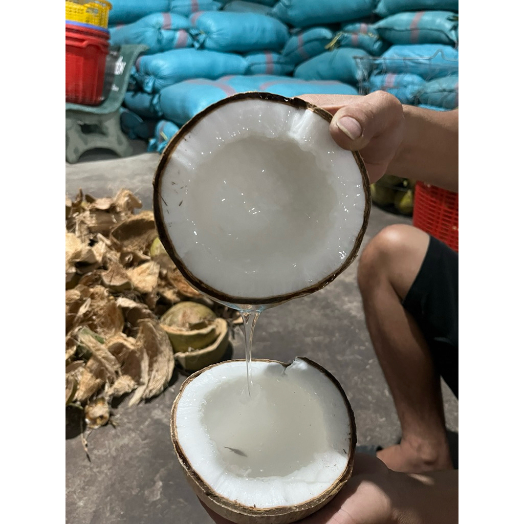 dừa sáp lỏng , nhiều nước size 1kg đến 2kg