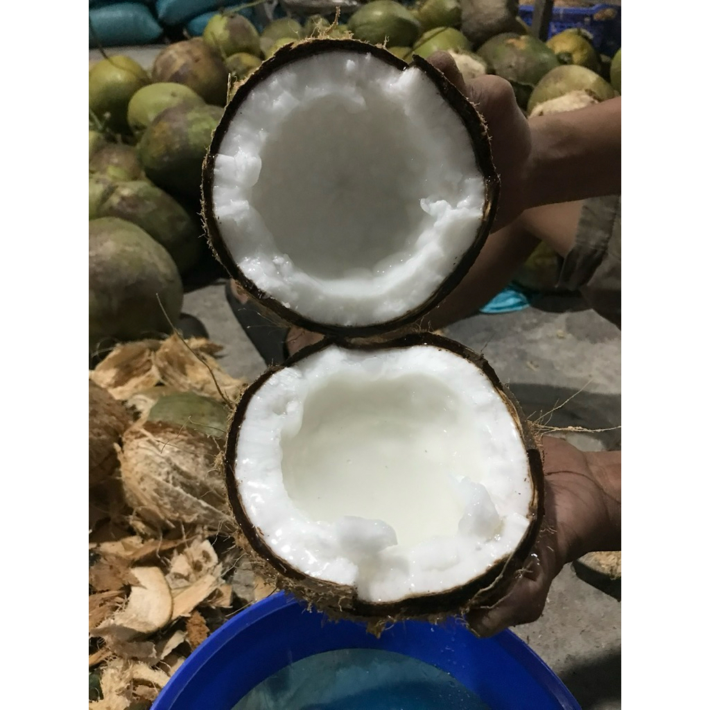 dừa sáp lỏng , nhiều nước size 1kg đến 2kg