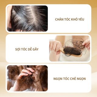 Dầu Xả Chống Rụng UILICY Tóc Khô Thoáng Không Nhờn Rít Nuôi Dưỡng Sợi Tóc Từ Bên Trong Giảm Rụng Hiệu Quả Tăng Cường Độ