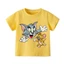 👕 Áo Thun Bé Trai mềm mịn thoáng mát in hình cá tính 👕 AT553