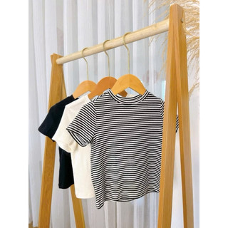 (Nhiều mẫu) Áo phông cộc tay cho bé trai/bé gái chất cotton mềm mại thoáng mát thấm hút mồ hôi tốt