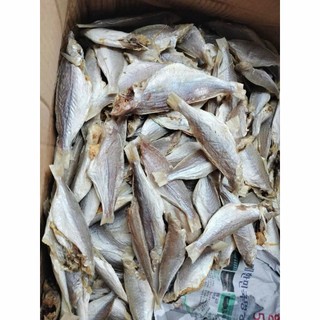 Khô cá đù ít xương, dày thịt, thơm ngon, bỗ dưỡng cho mỗi bữa cơm, đảm bảo an toàn thực phẩm