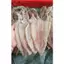 1kg Khô mực loại 1 Thế Giới Hải Sản, khô mực size to, mực khô dày mình ngọt thịt được hút chân không