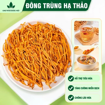 Đông trùng hạ thảo 100g, trà đông trùng sợi vàng, khô, thơm, dùng pha trà, chưng yến, nấu lẩu, hầm canh