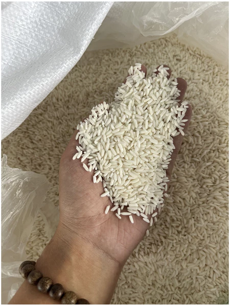 NẾP THÁI LAN PHA CHOT (พาโชด) – DẺO THƠM, MỀM NGON, CHUẨN NẾP NGOẠI NHẬP