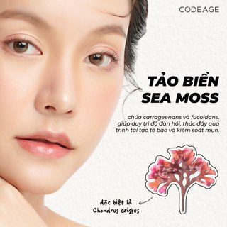TPBVSK Viên Codeage Sea Moss Gummies, Hộp 60 viên