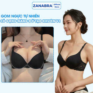 Áo Ngực Lưng Ren Sexy, Áo Lót Nữ Có Gong Mút Vừa Nâng Ngực Tôn Dáng ZANABRA A016