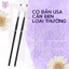 Cọ Bản USA Cán Đen Loại Thường Mary Artistry - Vẽ Hoa Văn, Hiệu Ứng, Loang Màu