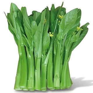 1000 Hạt Hạt giống rau cải ngồng xanh chịu nhiệt - k046