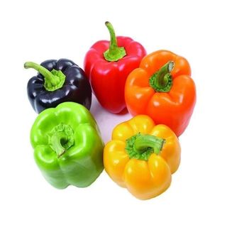 Hạt Giống Ớt Chuông Mix Nhiều Màu (100 Hạt) - Giàu Dinh Dưỡng, Năng Suất Cao - k052