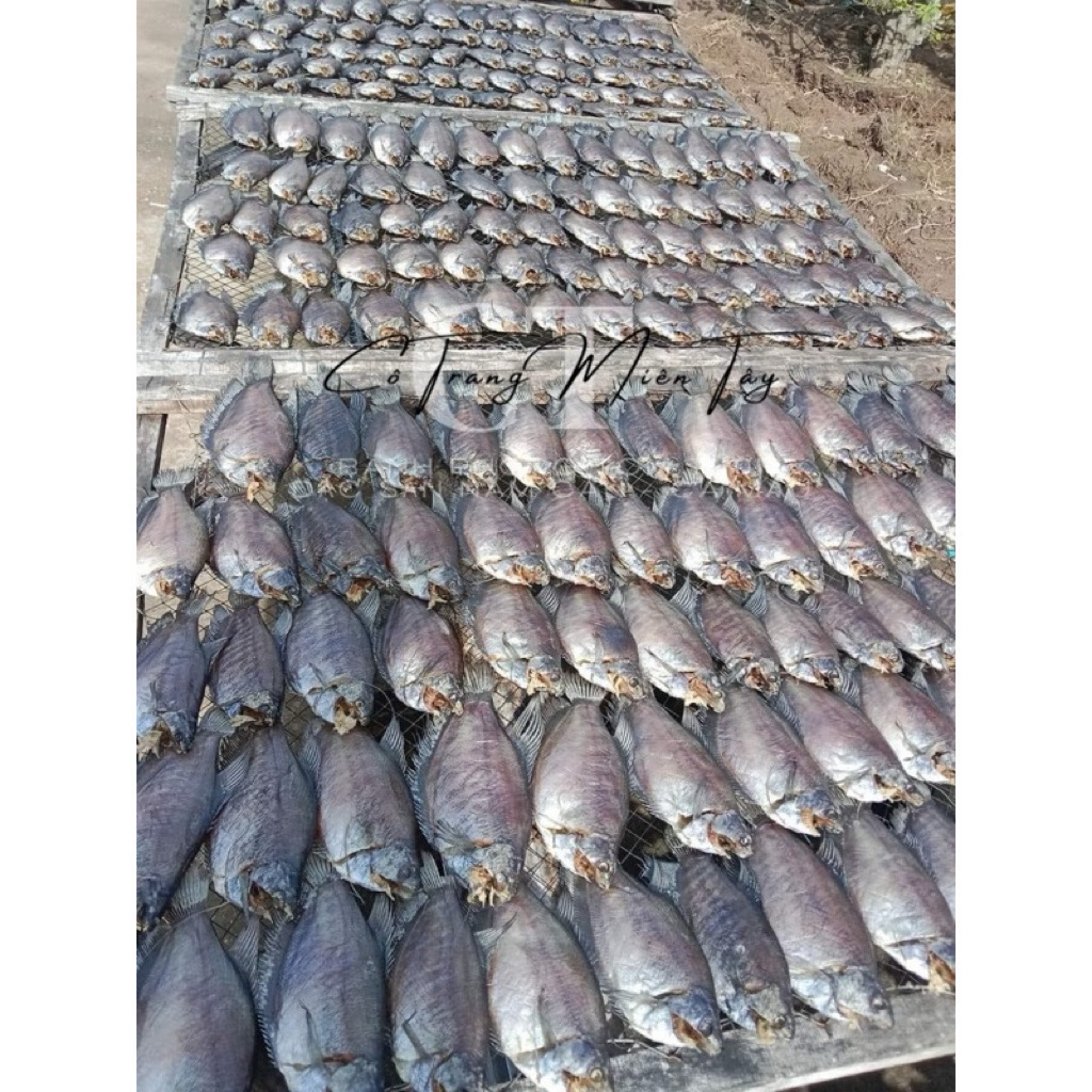 🐟Khô Cá Bổi Lạc /Cô Trang Miền Tây ( Túi 500g/ Hút Chân Không (Size 4-5con) Đặc Sản 5 Căn Cà Mau (Không Ngon Hoàn Tiền )