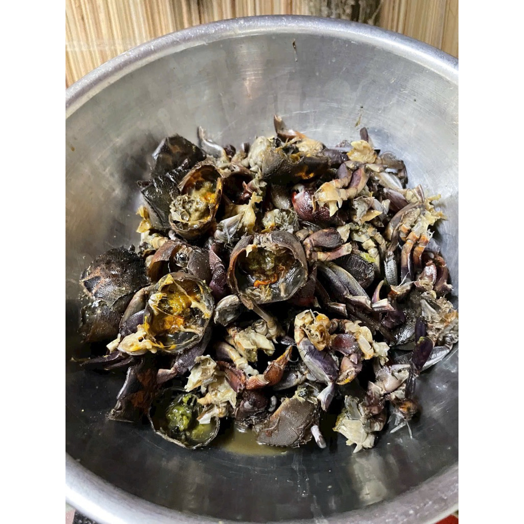 ( Đặc sản Năm Căn Cà Mau ) Ba khía trộn sẵn vùng sông nước Năm Căn Cà Mau -1keo 1kg- Con to chắc thịt