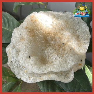 20 cái bánh tráng phồng vị mặn cay vừa ăn tẩm tỏi ớt, giao bánh sống, đặc sản quê biển 78