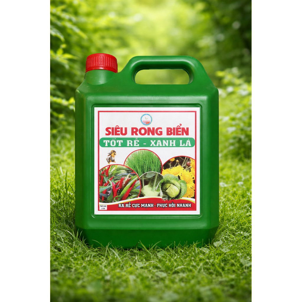 Siêu Rong Biển- Kích thích ra rễ mạnh 	•	Giúp cây xanh lá, phát triển khỏe 	•	Phục hồi cây suy yếu( can 2000ml)