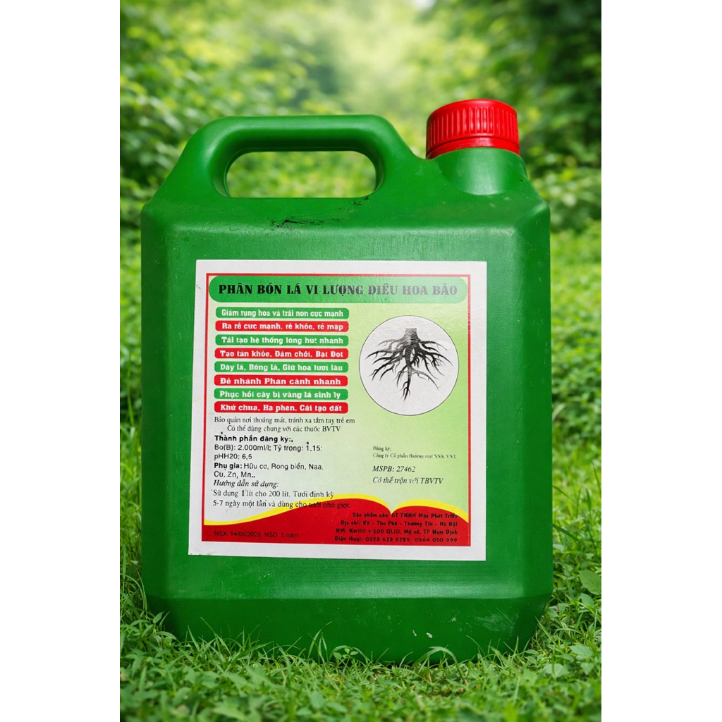 Siêu Rong Biển- Kích thích ra rễ mạnh 	•	Giúp cây xanh lá, phát triển khỏe 	•	Phục hồi cây suy yếu( can 2000ml)