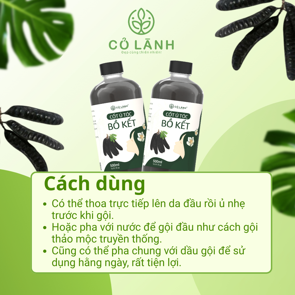 (Tặng Bình Lược) Nước Cốt Ủ Bồ Kết Cỏ Lành 500ml - Hỗ Trợ Giảm Rụng Tóc Kích Mọc Tóc Giảm Tình Trạng Bết Tóc Dưỡng Tóc
