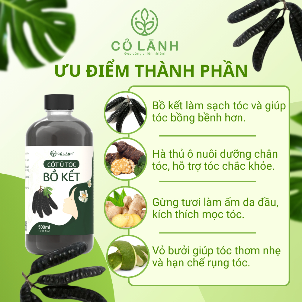 (Tặng Bình Lược) Nước Cốt Ủ Bồ Kết Cỏ Lành 500ml - Hỗ Trợ Giảm Rụng Tóc Kích Mọc Tóc Giảm Tình Trạng Bết Tóc Dưỡng Tóc