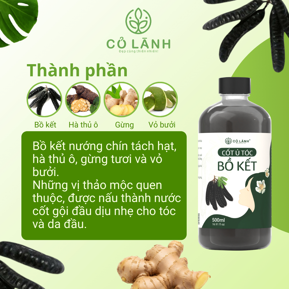 (Tặng Bình Lược) Nước Cốt Ủ Bồ Kết Cỏ Lành 500ml - Hỗ Trợ Giảm Rụng Tóc Kích Mọc Tóc Giảm Tình Trạng Bết Tóc Dưỡng Tóc