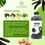 Nước Cốt Ủ Bồ Kết Cỏ Lành 500ml - Hỗ Trợ Giảm Rụng Tóc Kích Mọc Tóc Giảm Tình Trạng Bết Tóc Dưỡng Tóc