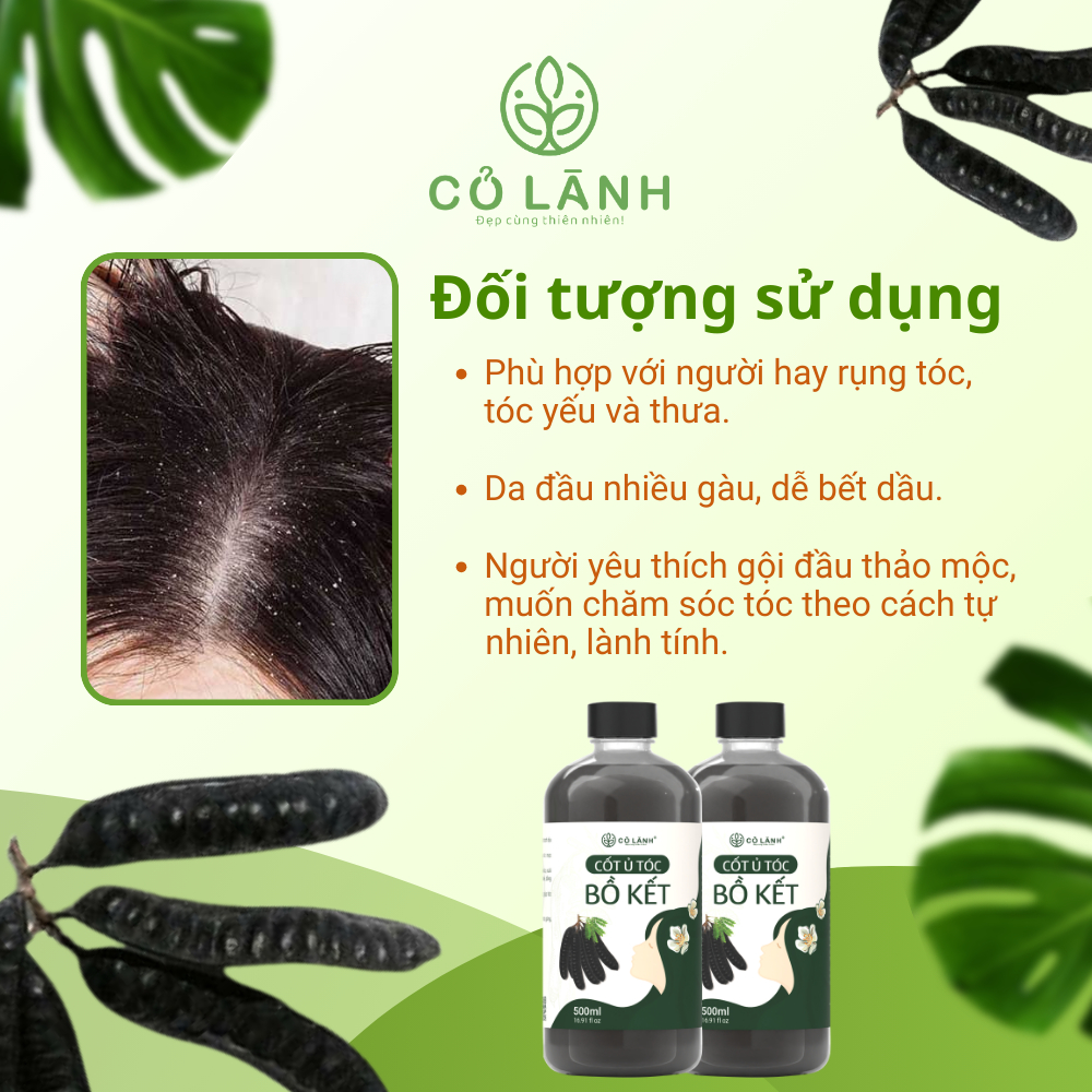 (Tặng Bình Lược) Nước Cốt Ủ Bồ Kết Cỏ Lành 500ml - Hỗ Trợ Giảm Rụng Tóc Kích Mọc Tóc Giảm Tình Trạng Bết Tóc Dưỡng Tóc