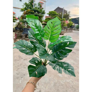 Cây giả - cây lá rùa 30/40cm (có bán kèm chậu y hình)
