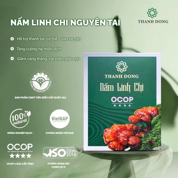 Linh Chi Nguyên Tai Thành Đồng - Nấm Lim Xanh - Hỗ Trợ Thải Độc Gan - Cải Thiện Giấc Ngủ
