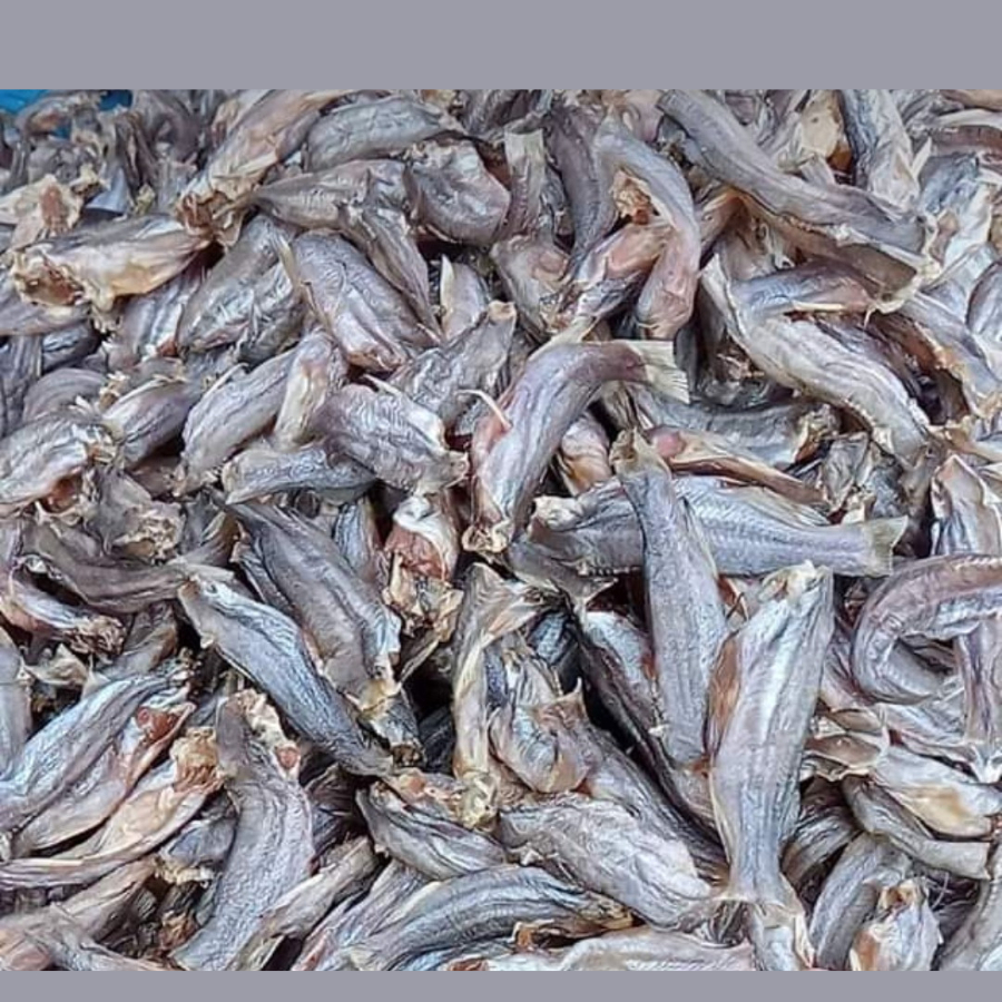 [CAO CẤP] Cá chốt 1 nắng Thế Giới Hải Sản, cá chốt  hút chân khôngloại 1 đặc sản Miền Tây béo ngọt thịt