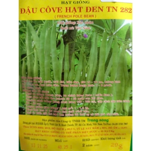 HẠT GIỐNG ĐẬU COVE HẠT ĐEN TN 282 ( gói 20gr) - Date luôn mới nhất - Hạt nảy mầm nhanh, mạnh