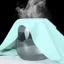 Quần lót nữ su đúc không đường may co giãn thấm hút tốt đáy 2 lớp cotton kháng khuẩn LANIXA L840 -CB
