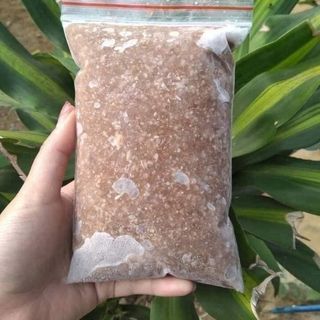 [HỎA TỐC HCM] Cua đồng xay Thế Giới Hải Sản, cua đồng miền tây hàng tươi sống, nấu canh, nấu soup