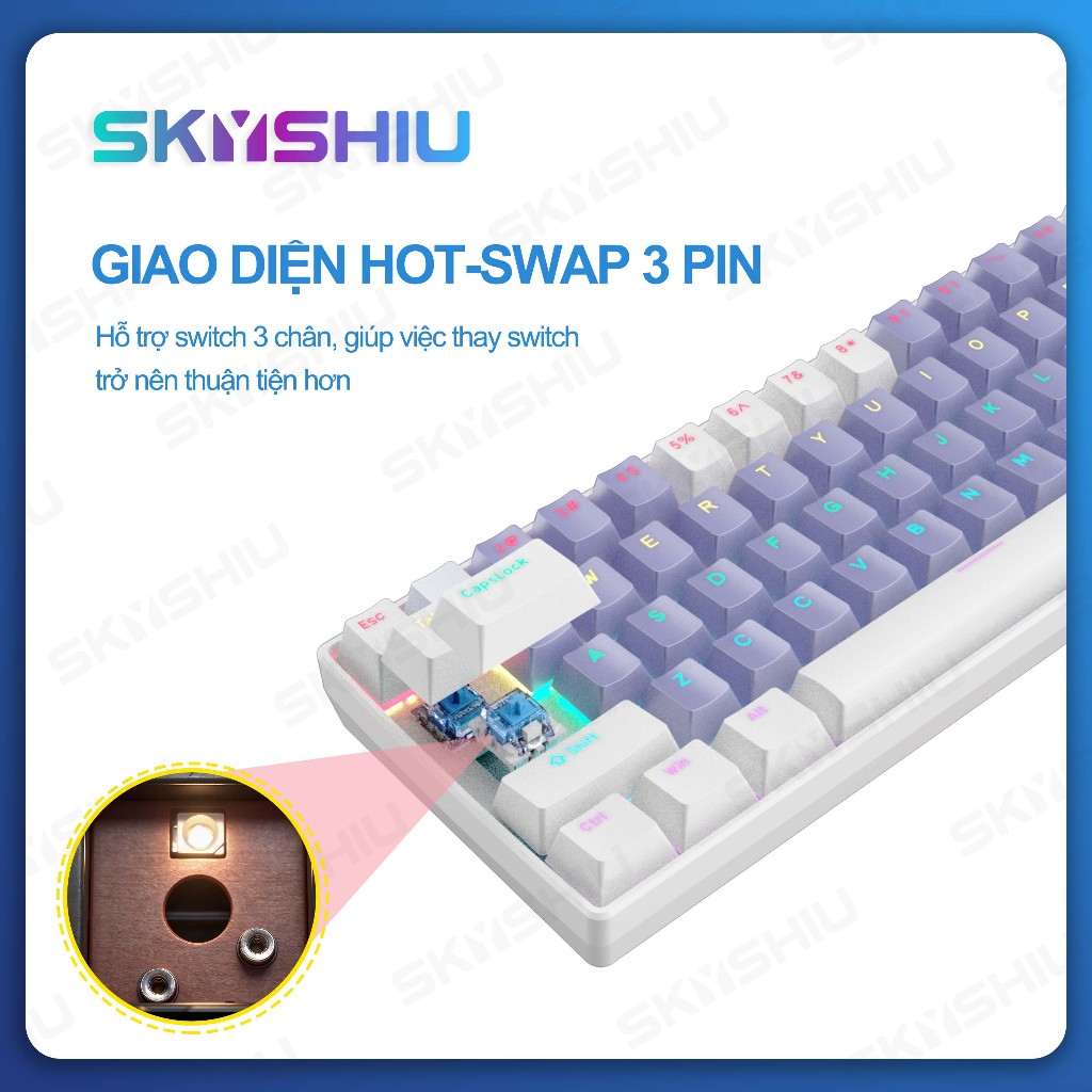 SKYSHIU SK-61 SE – Bàn phím cơ mini 61 phím nhỏ gọn dành cho game thủ PC/Mac, đèn nền nhiều màu có thể chuyển đổi, switc | BigBuy360 - bigbuy360.vn