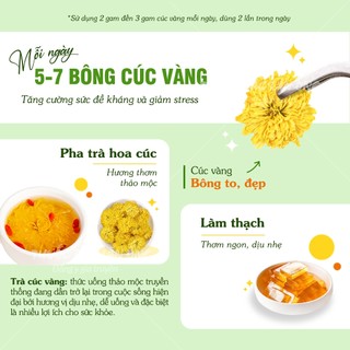 Hoa cúc vàng nguyên bông 100g, trà hoa cúc khô, cúc vàng pha trà, trang trí, decor - Lãn Ông