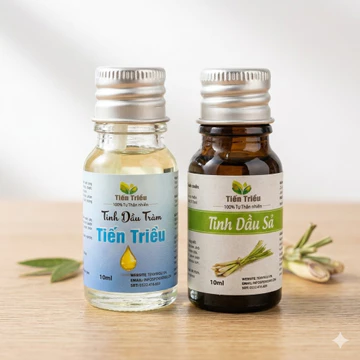 Bộ 2 Chai Tinh Dầu Tràm Huế & Tinh Dầu Sả Tiến Triều 10ml – Tinh Dầu Nguyên Chất Xông Phòng, Đuổi Muỗi, Giữ Ấm, Thư Giãn