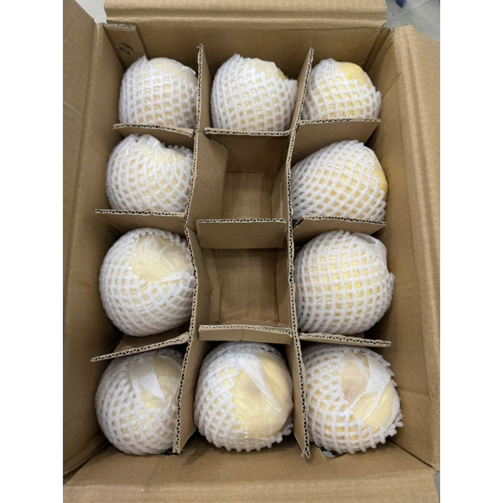 🍐 LÊ ĐƯỜNG TƯƠI NGUYÊN THÙNG 9KG CẢ BÌ– NGỌT THANH, GIÒN MỌNG TỰ NHIÊN