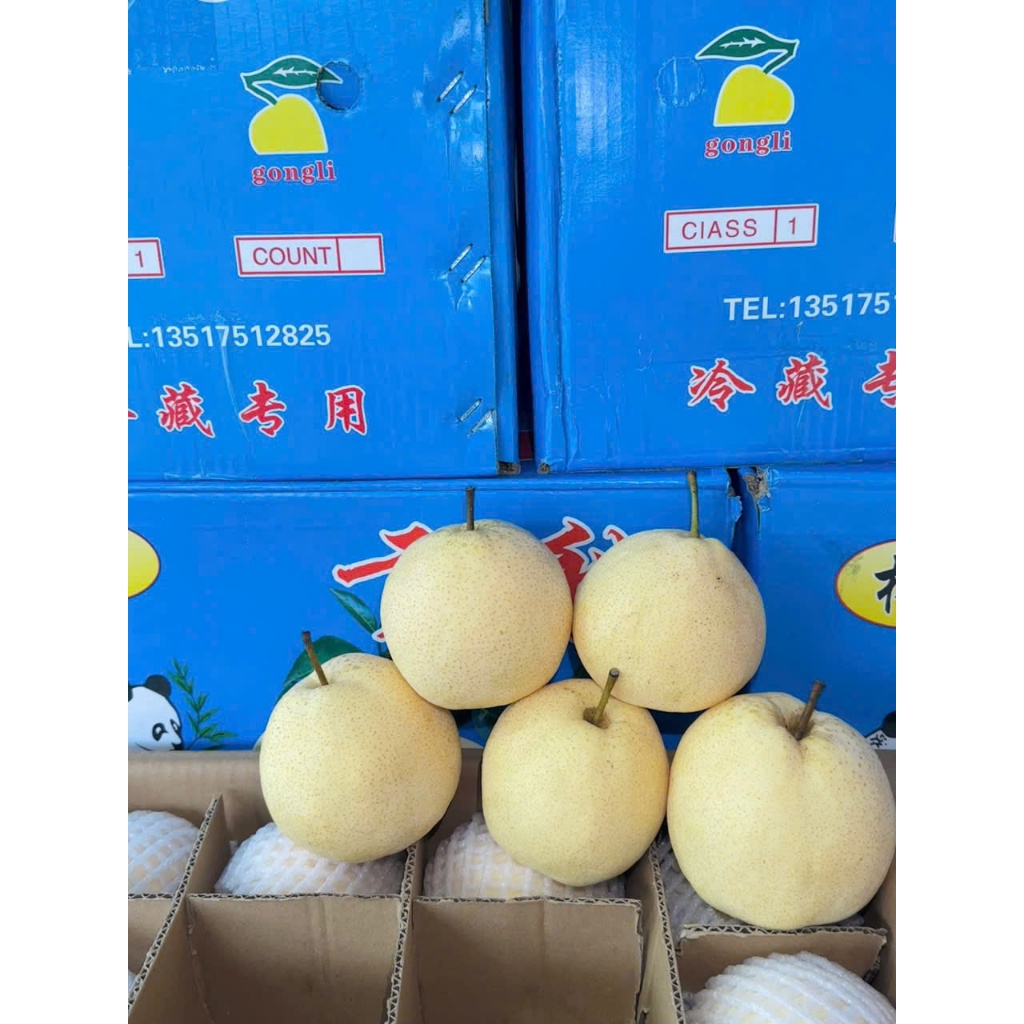 🍐 LÊ ĐƯỜNG TƯƠI NGUYÊN THÙNG 9KG CẢ BÌ– NGỌT THANH, GIÒN MỌNG TỰ NHIÊN