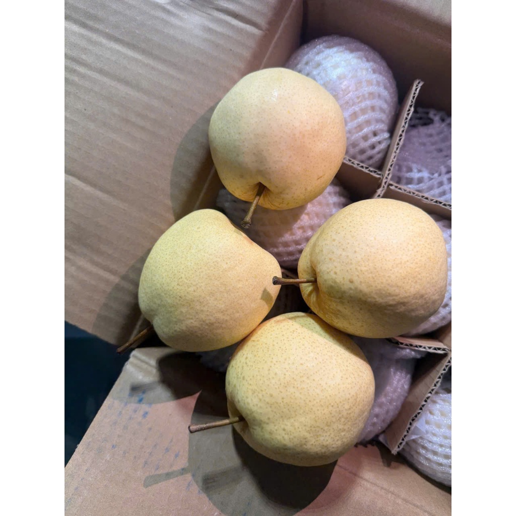 🍐 LÊ ĐƯỜNG TƯƠI NGUYÊN THÙNG 9KG CẢ BÌ– NGỌT THANH, GIÒN MỌNG TỰ NHIÊN