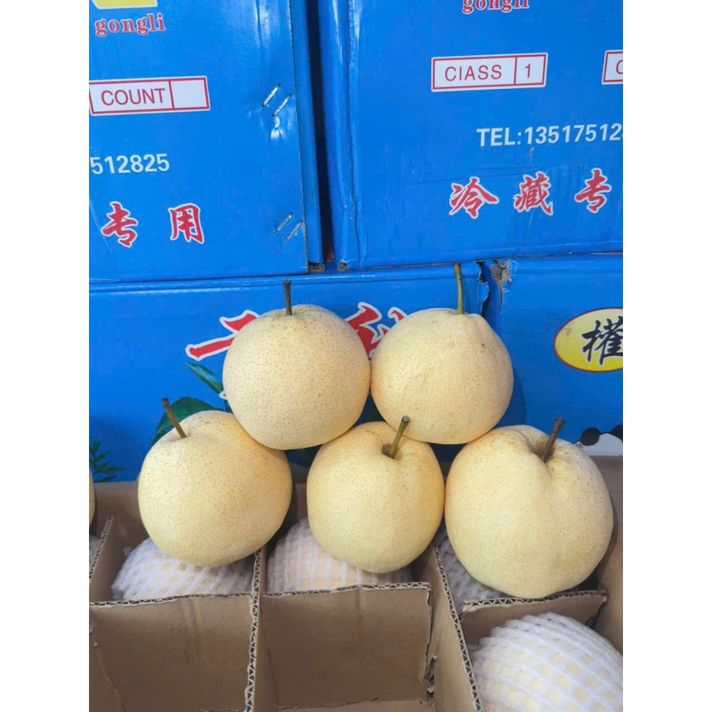 🍐 LÊ ĐƯỜNG TƯƠI NGUYÊN THÙNG 9KG CẢ BÌ– NGỌT THANH, GIÒN MỌNG TỰ NHIÊN